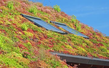 Ilkeston living roof systems